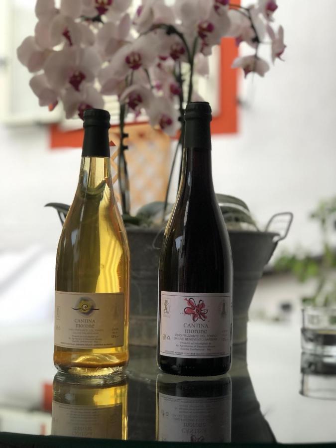 Agriturismo Cantina Morone Guardia Sanframondi المظهر الخارجي الصورة