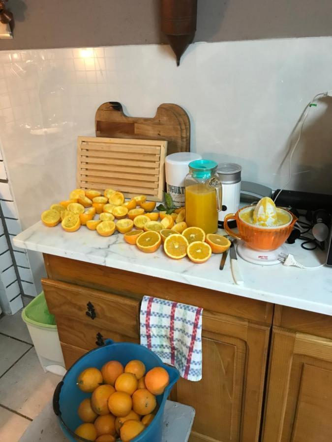 Agriturismo Cantina Morone Guardia Sanframondi المظهر الخارجي الصورة